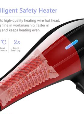 220V Hair Dryer Blow Air with Concentrator Nozzles Diffuser