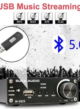 2*50W TPA116 Bluetooth 5.0 Digital Audio Amplifier Dual Cha