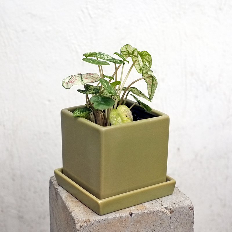 Ceramic Japanese Style Flower Pot Stand Indoor Large