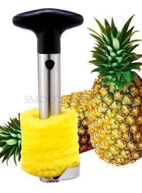 en acier inoxydable outil simple cuisine fruits ananas slice