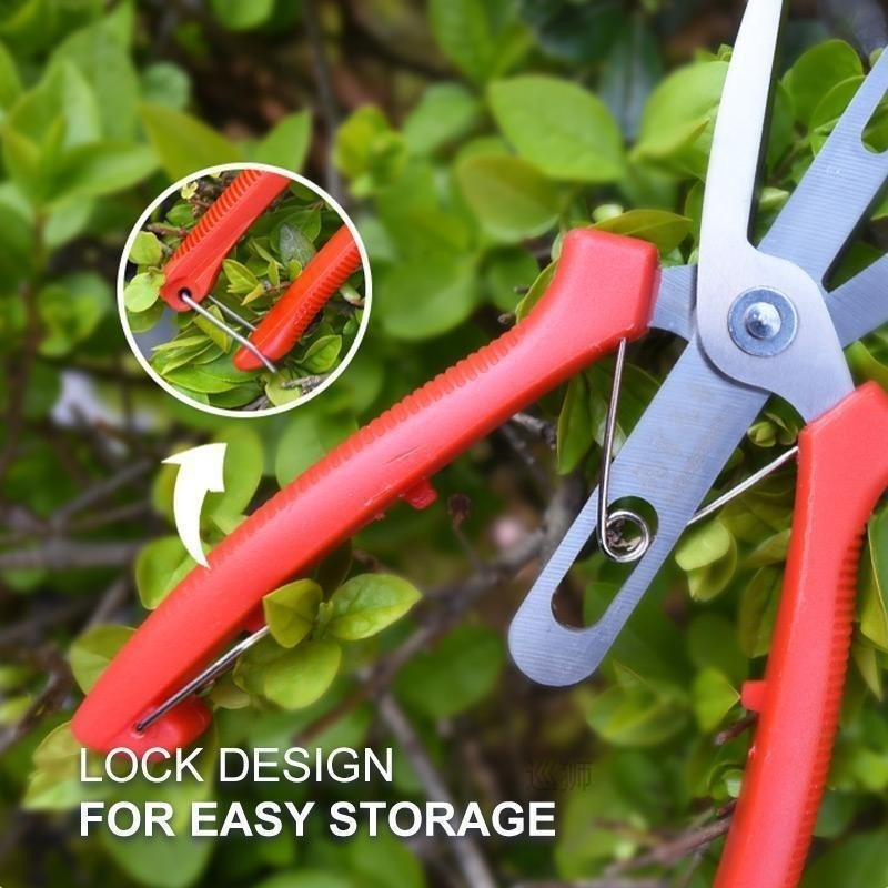 Lonbor? Agriculture Thinning Scissors Flowers Thinning Shear