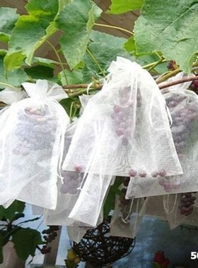 50Pcs Prevent Grapes Fruit Mosquitoes Bag Anti-Bird Drawstri