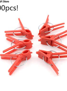Hot sale 100pcs Garden Vegetable Flower Tomato Vine Bushes