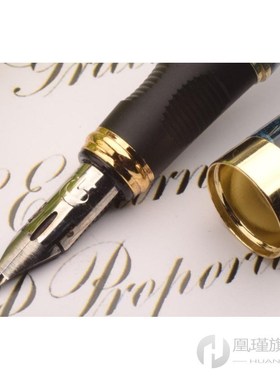 Flexible Zebra G Nib on Jinhao X450 Fountain Pen Instead Dip