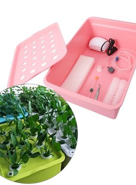 220V 110V Air Pump 24 Hole Hydroponic Soilless Growing Box P