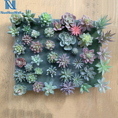 NuoNuoWell DIY 20pcs Mixed Type Artificial Succulent Plants