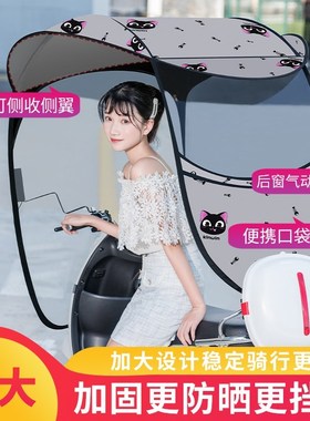 Wind is prevented bask in a carport battery electric car