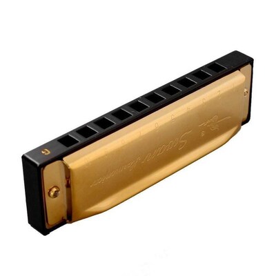 olden 10 Holes Blues Swan Harmonica  Key W/Case ift For M