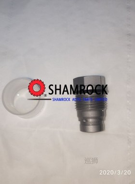 Original Fuel Rail Pressure Relief Limite Valve OEM 11100100