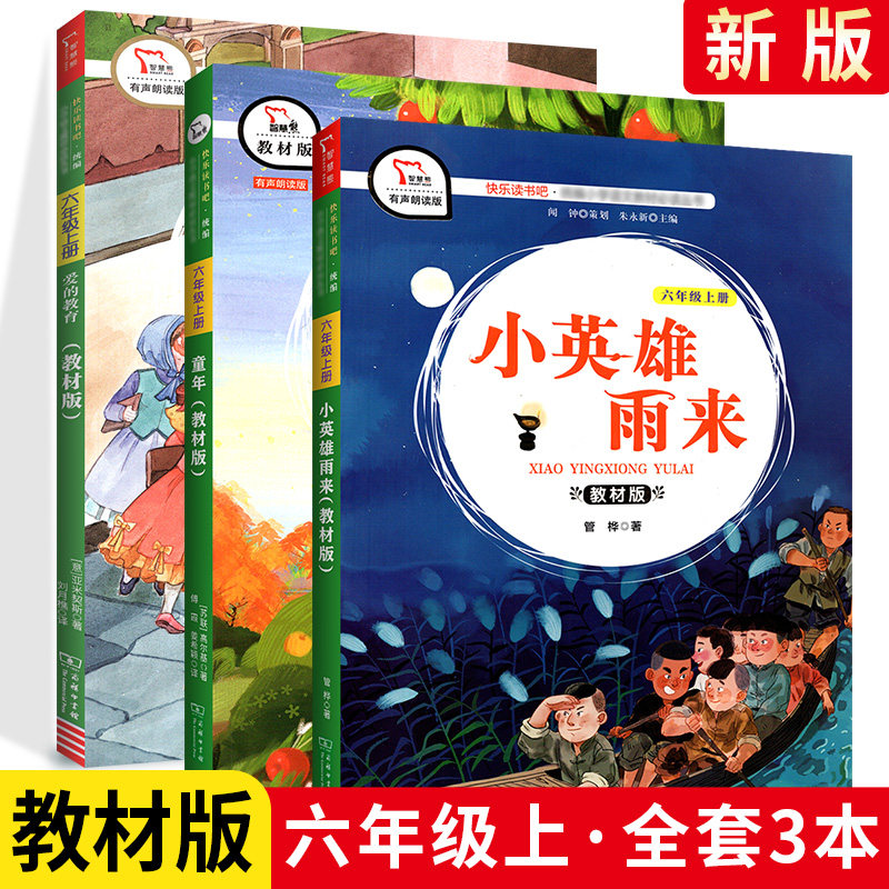 快乐读书吧六年级上册全套3册人教版小英雄雨来童年爱的教育小学生语文六年级上册课外阅读推荐书目儿童故事书课外书