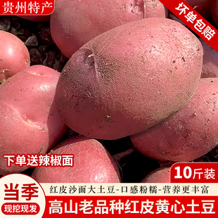 贵州正宗红皮黄心洋芋高山本地特产大土豆应季 新鲜蔬菜马铃薯十斤