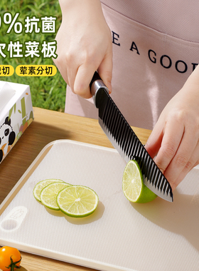 AB一次性菜板抗菌砧板垫防滑防霉食品级婴儿辅食户外pe砧板案板垫
