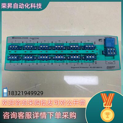 现货倍加福模块R3-SP-IBD12 原装的