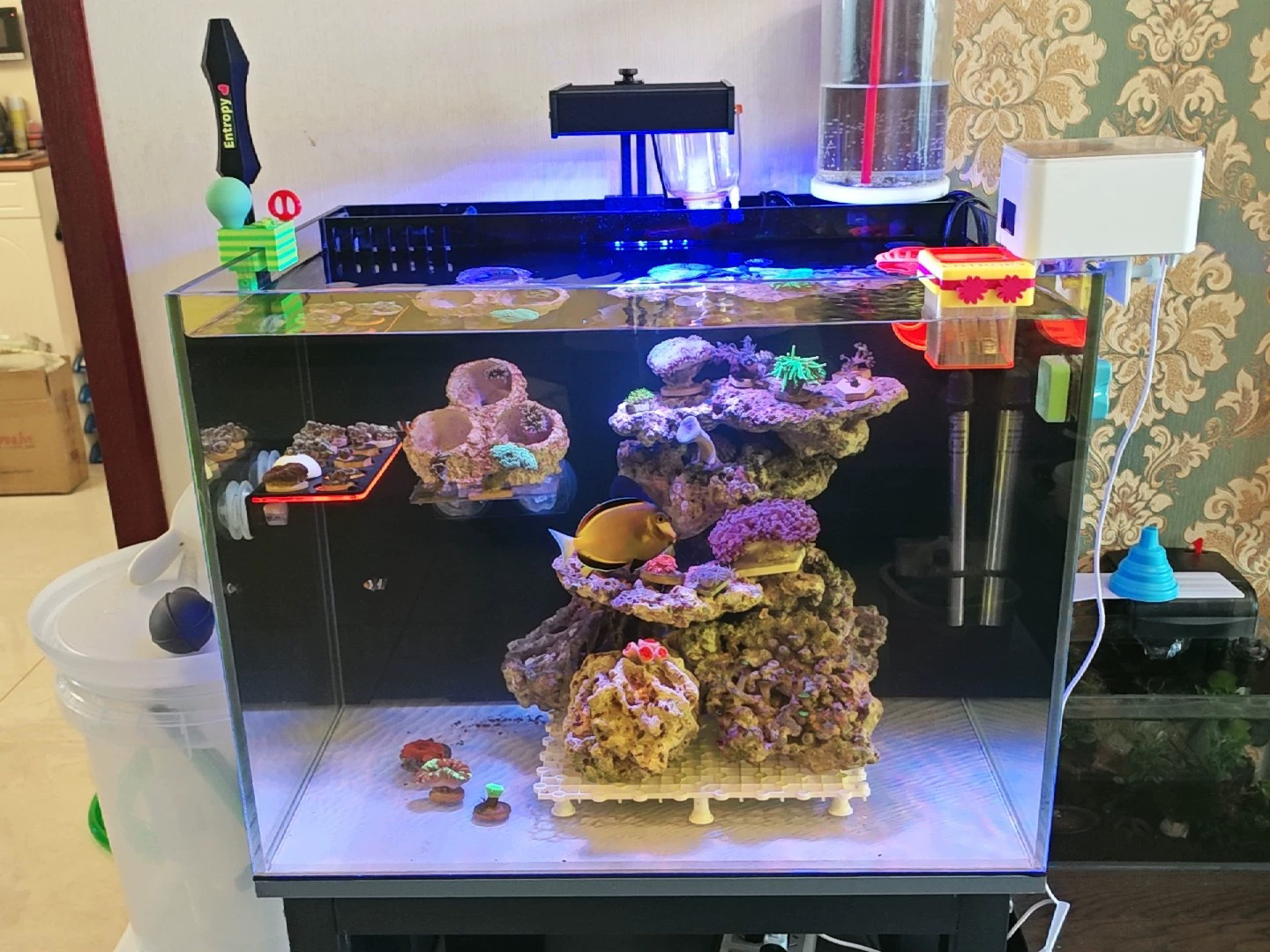 私人定制黑玻璃水刀切割金晶五线超白鱼缸背过滤底滤海水乌龟缸