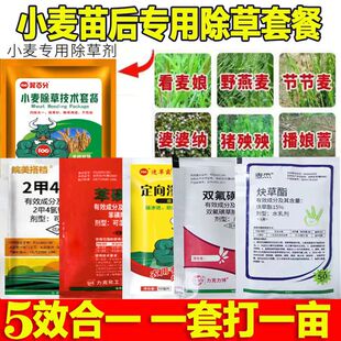 小麦除草剂五效合一除节节麦野麦子雀麦通除套餐小麦田苗后除草剂