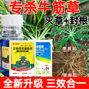 牛筋草专打牛筋草专用药正品强效芦苇马塘草茅草除根锄草剂