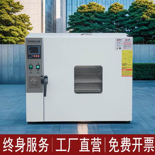 实验室电热恒温鼓风干燥箱 高温烘箱老化试验箱 工业不锈钢烘干机