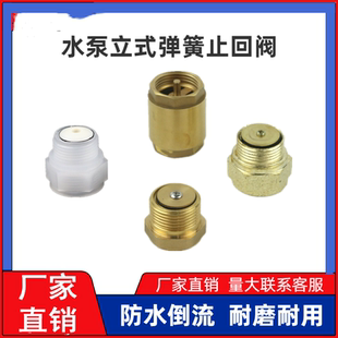 水表单流阀自吸水泵配件螺纹止水阀 塑料 铁 全铜1寸立式 止回阀