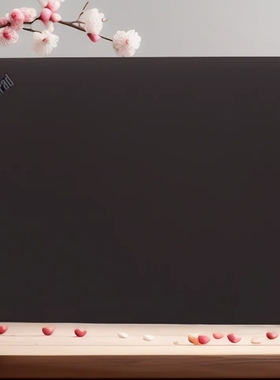 适用于 T14 Gen3 P14s Gen3 A壳 面盖 后盖外壳 5CB0Z69549