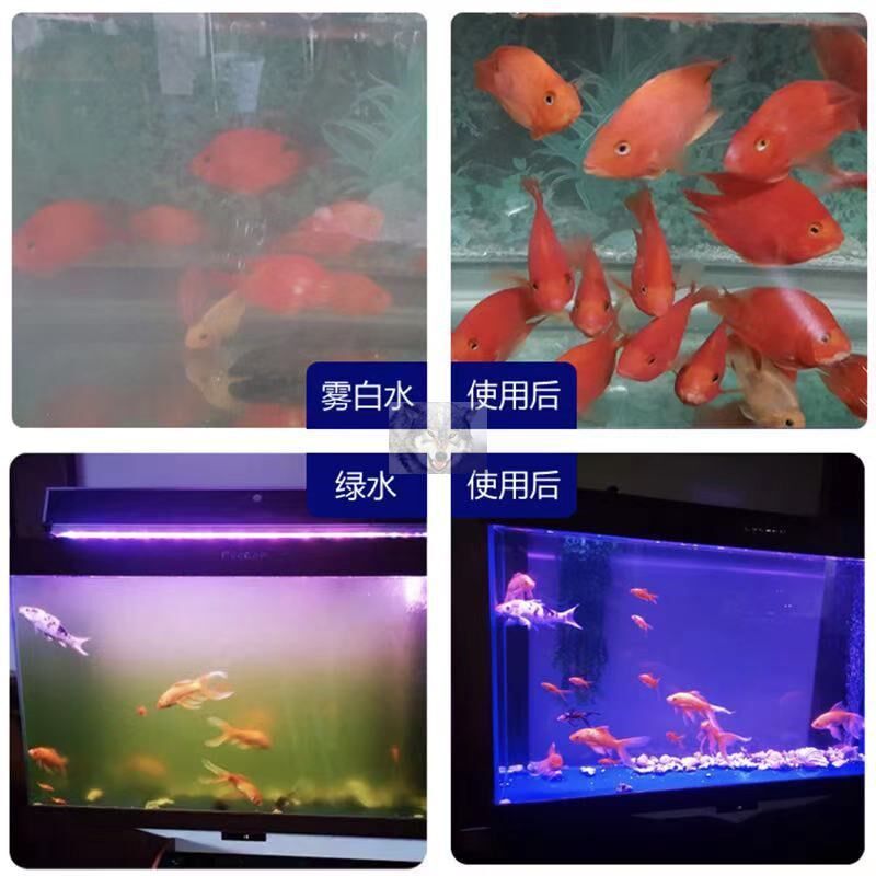 水质清澈剂鱼缸净水神器告别浑浊腥臭打造空气晢哲正