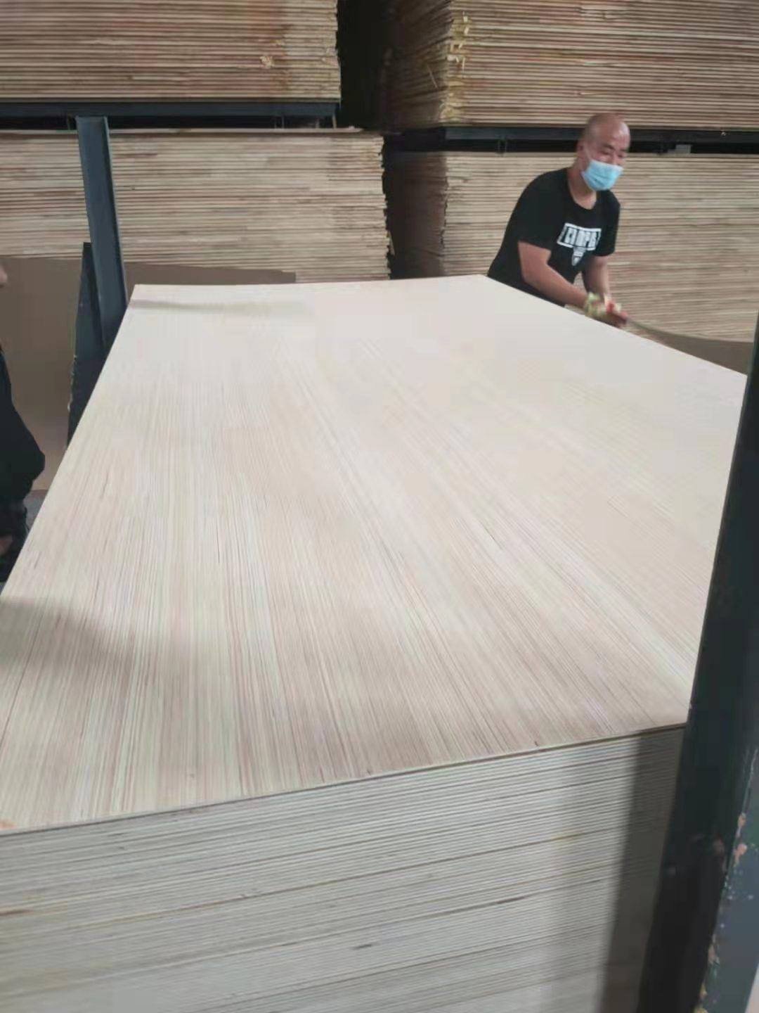 厂家供应mm超平家具板 三夹板 五夹板 家具板