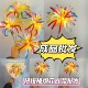 成品扭扭棒花束烟花手工制作成品批发38节活动策划春节过年跨年