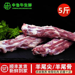 5斤清真羊尾尖羊尾骨农家散养山羊国产冷冻带骨卤炖煲汤烧烤商用