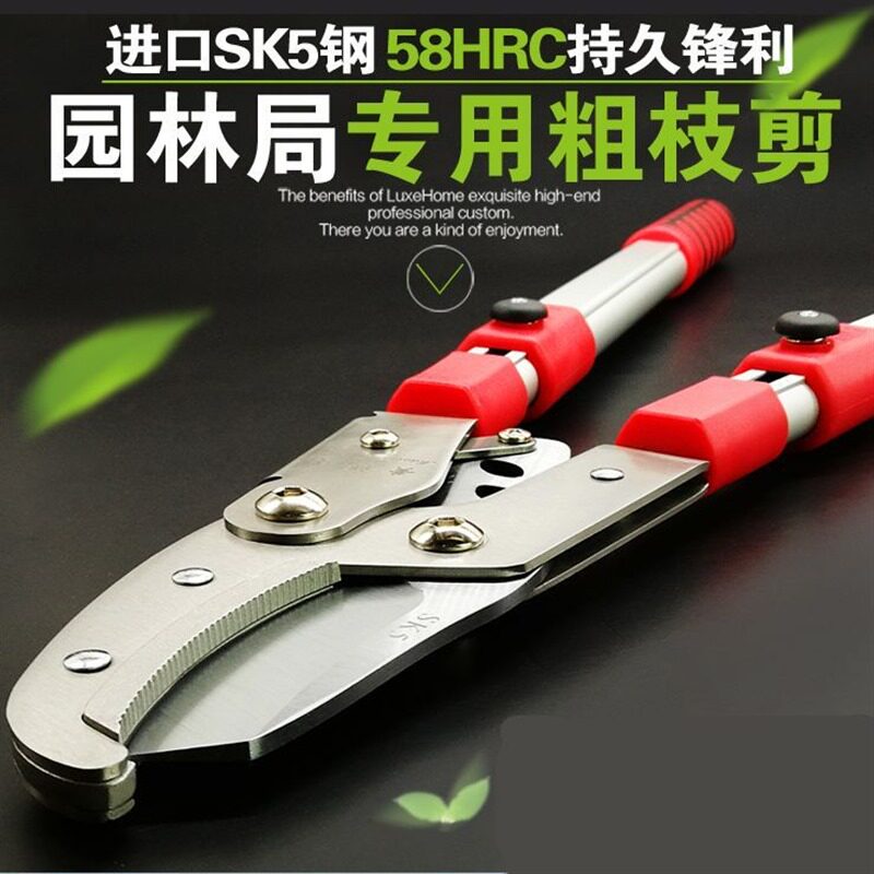 修枝剪修剪树枝果树剪刀粗枝剪园林伸缩强力园艺大剪刀工具大力剪图片