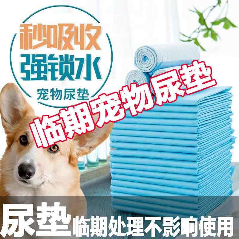 狗狗尿垫加厚宠物尿垫特价除臭猫尿片泰迪尿不湿尿布兔吸水隔尿垫