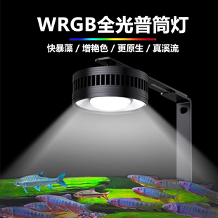 全光谱WRGB鱼缸灯暴藻金鱼增色出绿苔鱼灯原生溪流造景专用灯吊灯