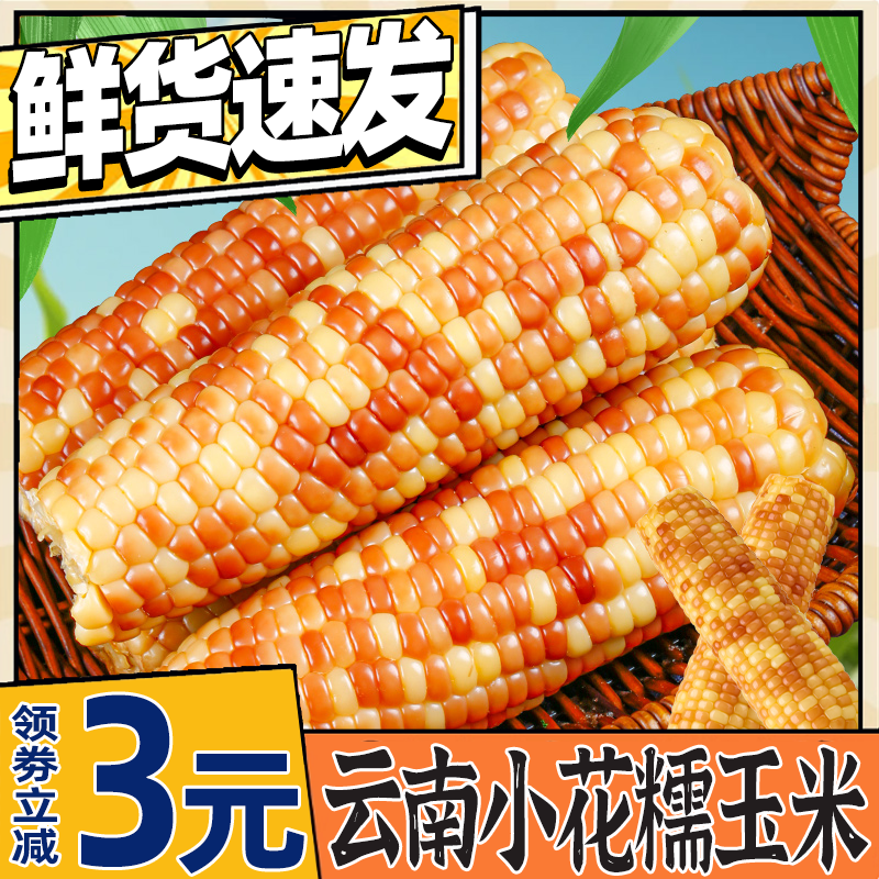 【5斤】云南香糯小玉米新鲜粗粮