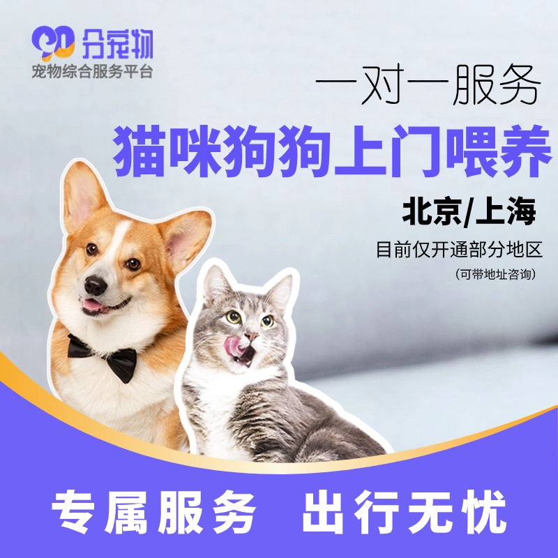【北京上海】猫咪狗狗喂养服务  上门喂猫遛狗  节假日不可用