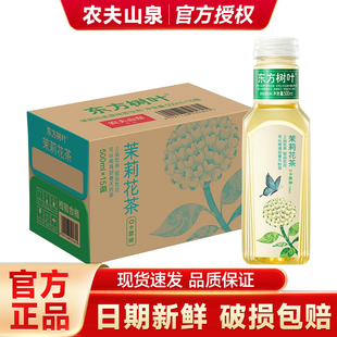 农夫山泉东方树叶无糖茶饮料500ml整箱青柑普洱乌龙茶特价 批正品