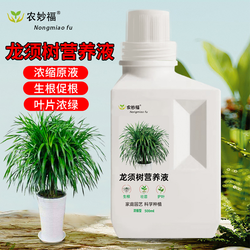 龙血树专用营养液室内龙须树防黄叶干尖防倒伏绿植通用水溶液体肥