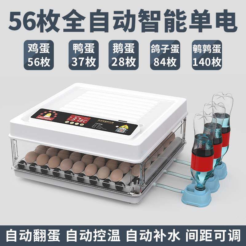 机器小鸡孵化机呼化器鸭鹅的水床家用全自动小型敷鸡蛋器鹌鹑照蛋