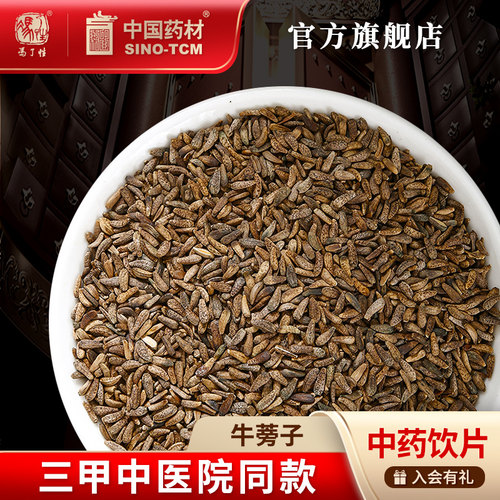 牛蒡子10g国药集团冯了性饮片