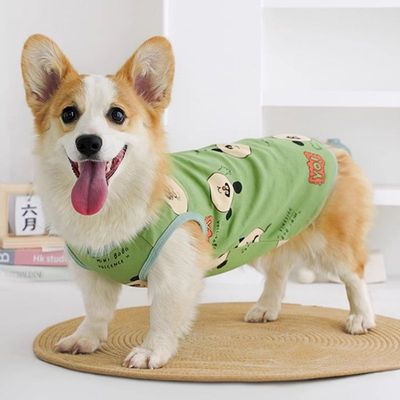 2025新款狗狗衣服宠物柯基柴犬比熊夏天薄款中型犬春秋防掉毛背心