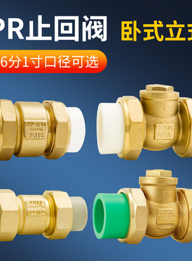 PPR双活接止回阀热熔管卧立式水管止逆阀20管水表单向逆止阀25PE
