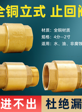 百战水管立式止回阀热水器防反水倒流马桶弹簧单向4分dn20逆止阀