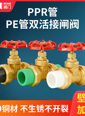PPR管双活接闸阀PE管自来水管阀门开关4分20管止水阀6分1寸32热熔