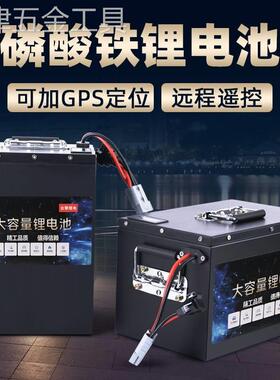 宁德时代磷酸铁锂电池大容量三轮车二轮车锂电池新国标48V60V72V