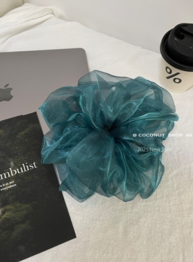 Coconut 救命！这发圈美疯了～超美氛围感薄荷蓝欧根纱大肠发圈