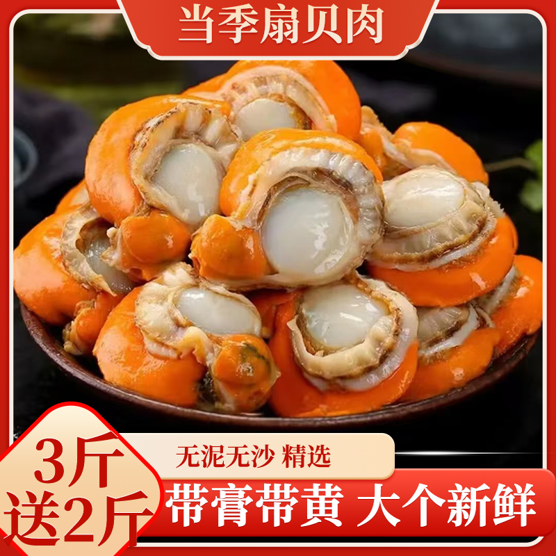扇贝肉新鲜冷冻特级大号带黄带膏商用海鲜水产冰鲜新鲜贝肉