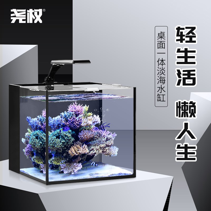 尧权背滤缸迷你生态水草造景小型鱼缸玻J璃超白淡海水族箱桌面客