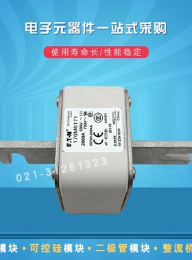 巴斯曼熔断器170M6169 6170 6171 6188 6189 6190 6191 6192 6193