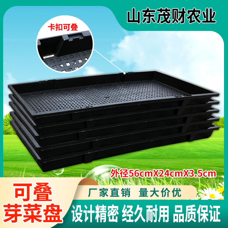 芽苗菜种植盘 加厚育苗盘豌豆苗小麦草育苗托盘58x25x3.5 300克