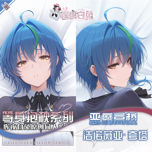 辉夜白兔原创洁诺薇亚夸塔恶魔高校二次元动漫周边等身定制抱枕套