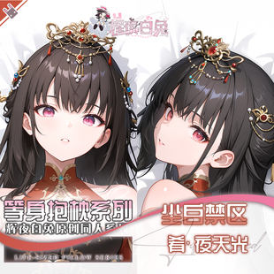 辉夜白兔原创肴夜天光尘白禁区二次元游戏动漫周边等身定制抱枕套