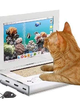 Cat Scratcher Toy Corrugated Cat Scratch Board Pad Grinding