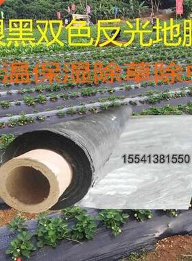 Film I shed transparent film film l film black and white ta